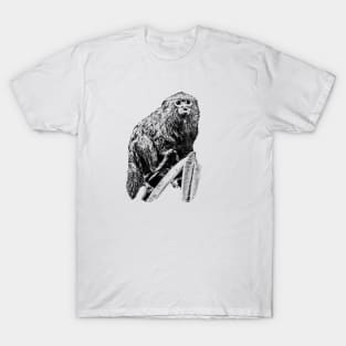 Marmoset T-Shirt